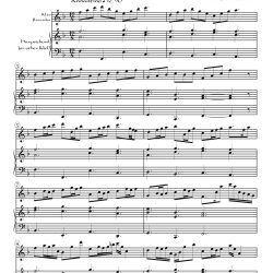 Variations on a Theme from Bach's Cantata 110