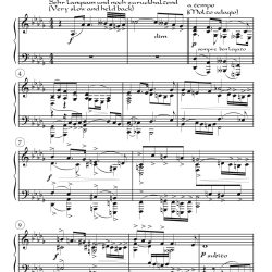 Fourth Movement from Symphony No. 9